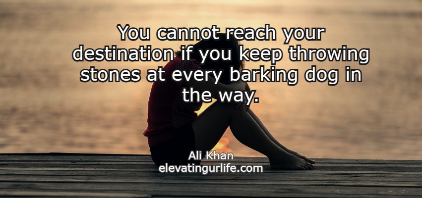    You cannot reach your destination if you keep throwing stones at every barking dog in the way.
