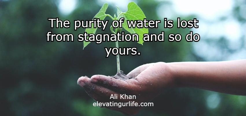 The purity of water is lost from stagnation and so do yours.