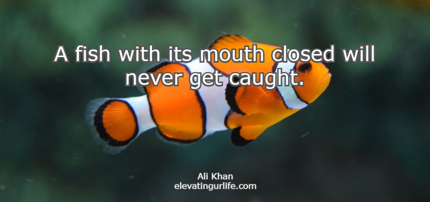 A fish with its mouth closed  will never get caught.