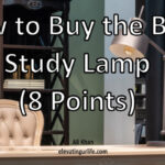 how to buy the best study lamp(8 points)